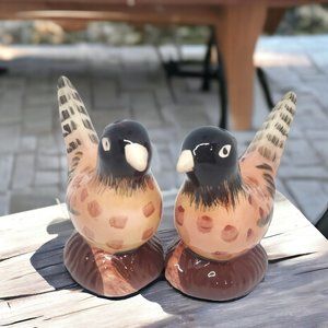 Pheasant Salt & Pepper Shakers - Ceramic - Hand Painted